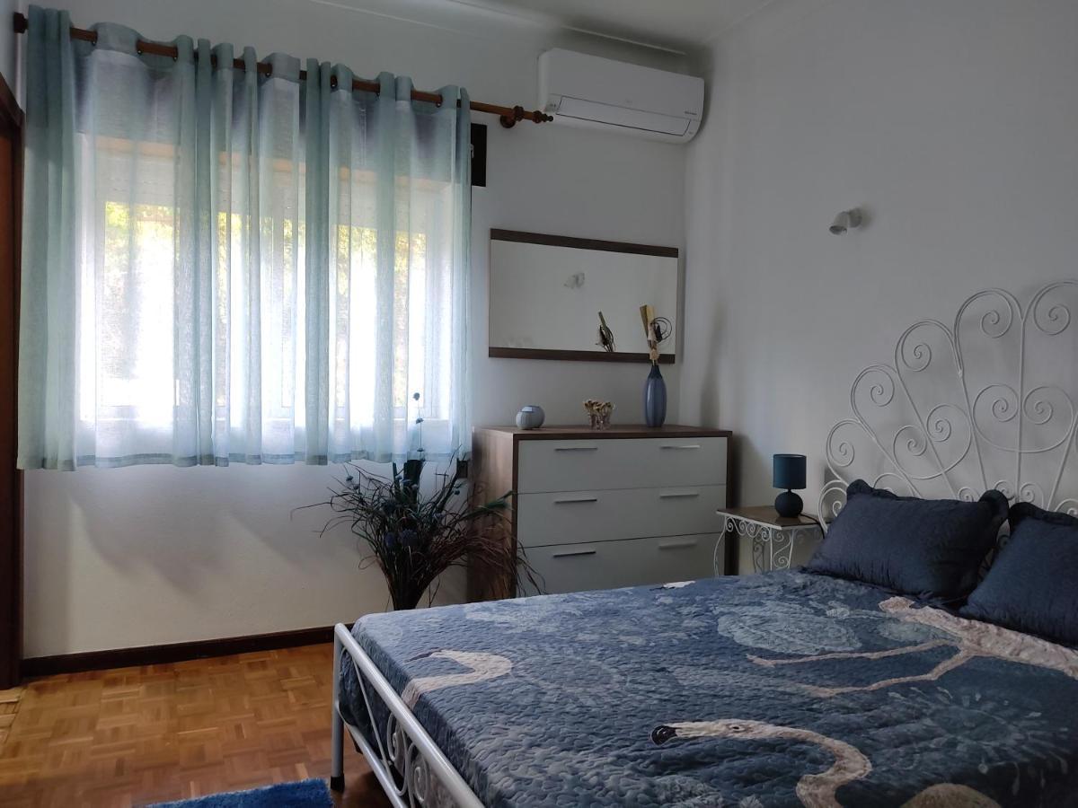 Casa Dos Avos Villa Vouzela Ngoại thất bức ảnh